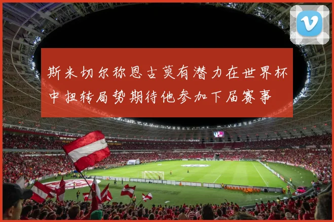 斯米切尔称恩古莫有潜力在世界杯中扭转局势期待他参加下届赛事