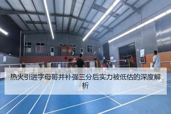热火引进字母哥并补强三分后实力被低估的深度解析 | ayx